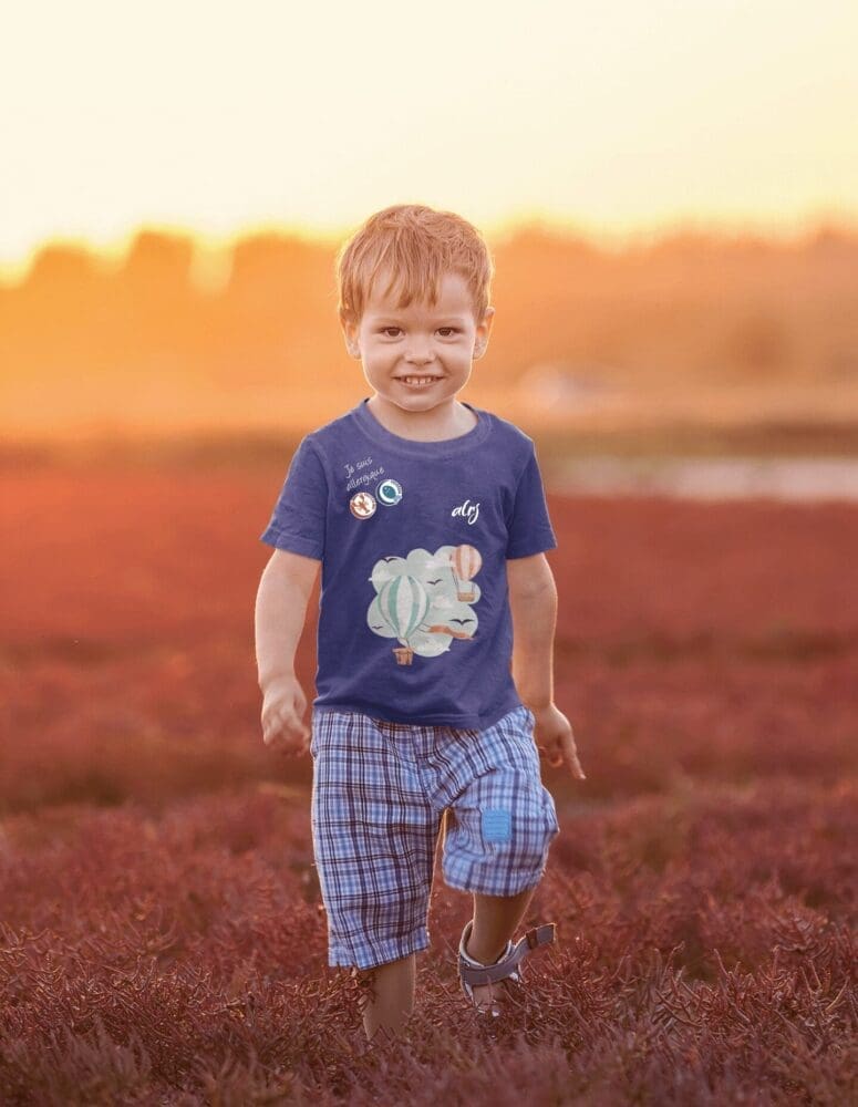 t-shirt alrj avec affichage des allergies alimentaires motif montgolfière t-shirt alrj avec affichage des allergies alimentaires motif montgolfière