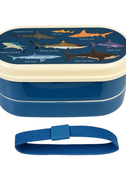 boîte a repas enfant avec motif requin boîte a repas enfant avec motif requin